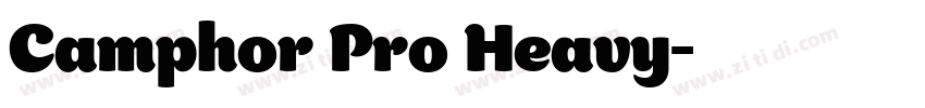 Camphor Pro Heavy字体转换